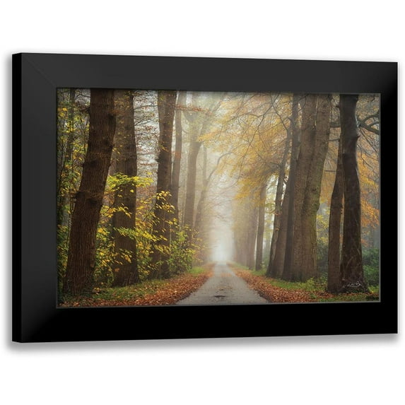 Podt, Martin 24x17 Black Modern Framed Museum Art Print Titled - Autumnal Moodiness