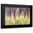 thumbnail image 1 of Podt, Martin 24x17 Black Modern Framed Museum Art Print Titled - Four in a Row, 1 of 5