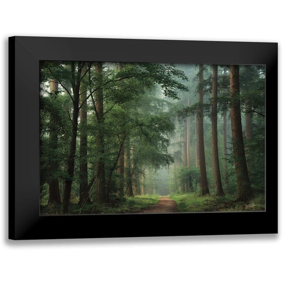 Podt, Martin 24x17 Black Modern Framed Museum Art Print Titled - Moody Green