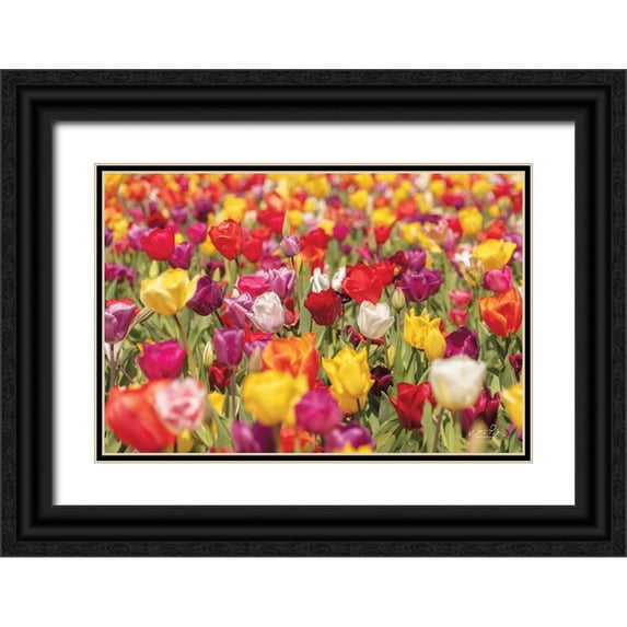 Podt, Martin 24x17 Black Ornate Wood Framed with Double Matting Museum Art Print Titled - Colorful Bouquet