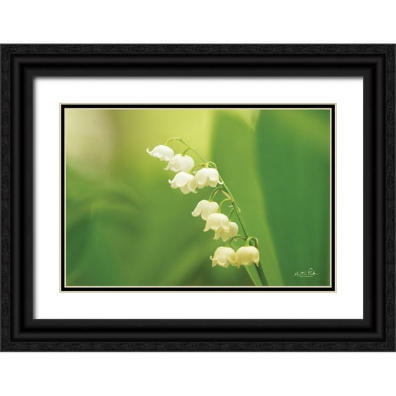 Podt, Martin 24x17 Black Ornate Wood Framed with Double Matting Museum Art Print Titled - Lily of the Valley