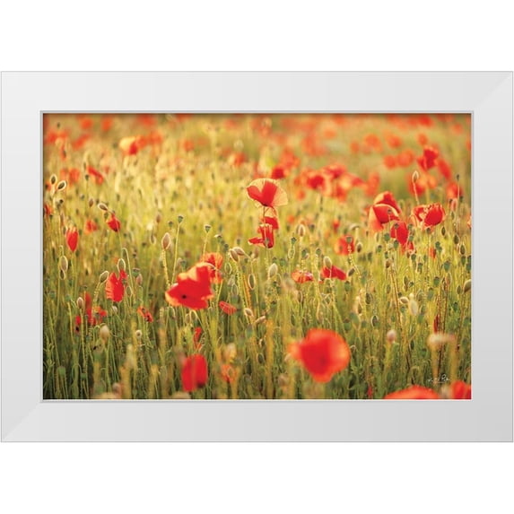 Podt, Martin 24x17 White Modern Wood Framed Museum Art Print Titled - Poppy Field I