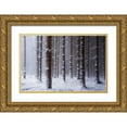 thumbnail image 1 of Podt, Martin 32x22 Gold Ornate Wood Framed with Double Matting Museum Art Print Titled - Red Woods, 1 of 4