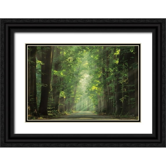Podt, Martin 32x23 Black Ornate Wood Framed with Double Matting Museum Art Print Titled - Bright Lights