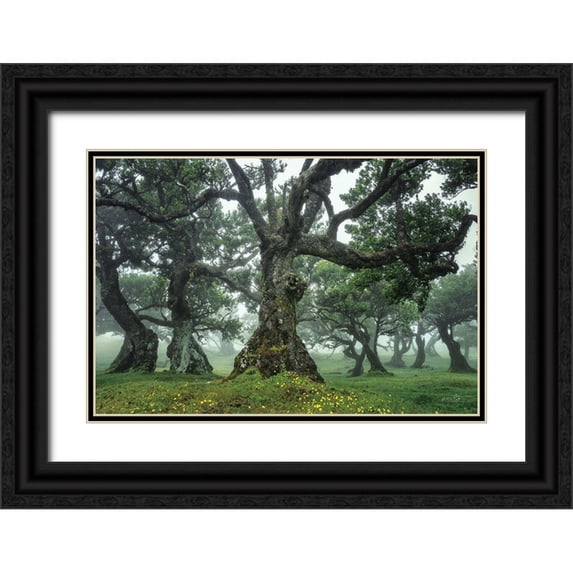 Podt, Martin 32x23 Black Ornate Wood Framed with Double Matting Museum Art Print Titled - Enchanted Forest I