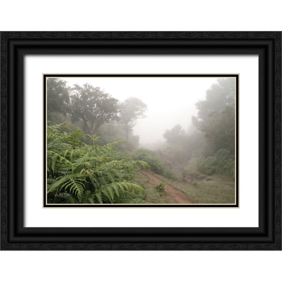 Podt, Martin 32x23 Black Ornate Wood Framed with Double Matting Museum Art Print Titled - Fern Path