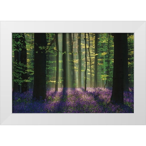 Podt, Martin 32x23 White Modern Wood Framed Museum Art Print Titled - Perfect Spring Scene