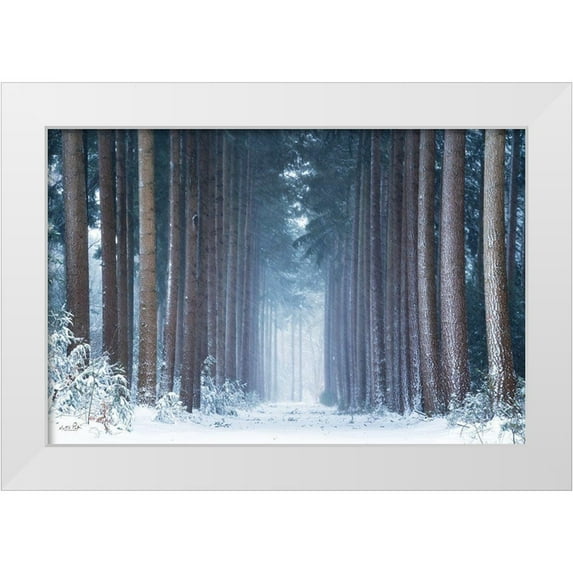 Podt, Martin 32x23 White Modern Wood Framed Museum Art Print Titled - Polar Winter