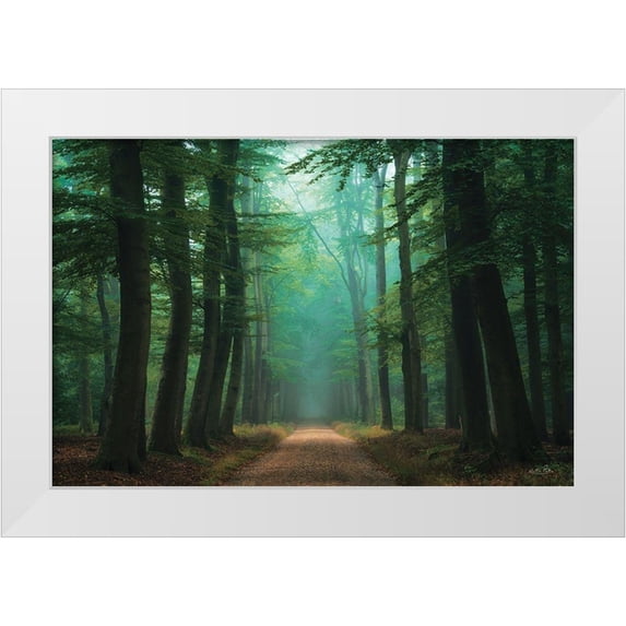 Podt, Martin 32x23 White Modern Wood Framed Museum Art Print Titled - Road of Mysteries