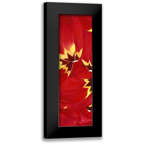Poelstra-Holzhaus, Yvonne 10x24 Black Modern Framed Museum Art Print Titled - Red and Close to you