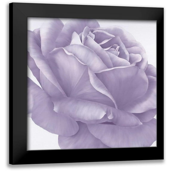 Poelstra-Holzhaus, Yvonne 12x12 Black Modern Framed Museum Art Print Titled - Magnificence I