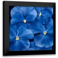 thumbnail image 1 of Poelstra-Holzhaus, Yvonne 15x15 Black Modern Framed Museum Art Print Titled - Colourful Floral III, 1 of 5