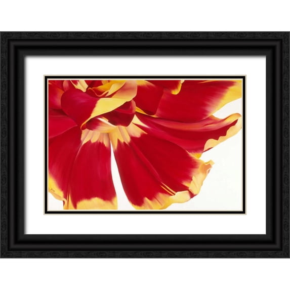 Poelstra-Holzhaus, Yvonne 18x13 Black Ornate Wood Framed with Double Matting Museum Art Print Titled - Floriade III