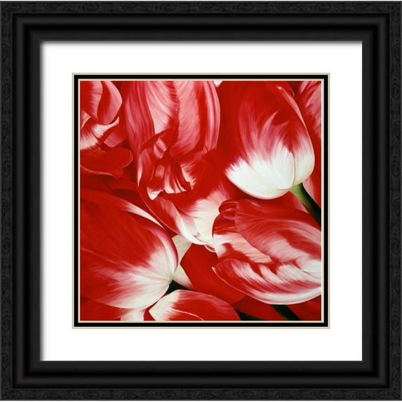Poelstra-Holzhaus, Yvonne 20x20 Black Ornate Wood Framed with Double Matting Museum Art Print Titled - Most Beautiful Tulip III