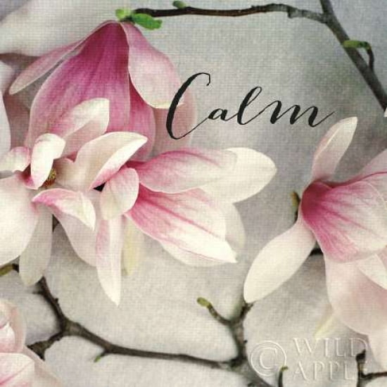 Poem Crop Calm Canvas Art - Alicia Bock (24 x 24)
