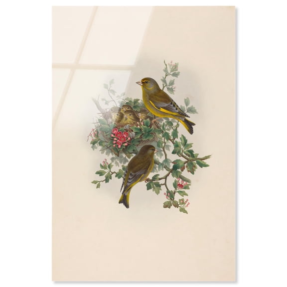 Poem of New Life Acrylic Print Botanical Art by Art Remedy, Ready to Hang, 10 x 15