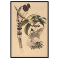 thumbnail image 1 of Poem of a Tail Canvas Print Botanical Art by Art Remedy, Black Frame, 30 x 45, 1 of 6