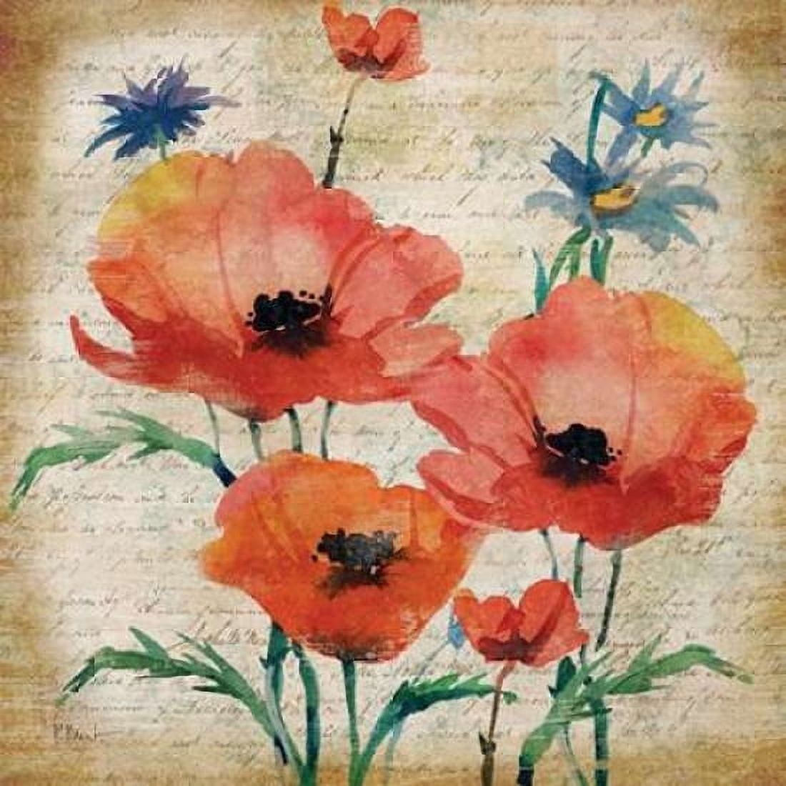 Poetic Garden I Canvas Art - Paul Brent (24 x 24)