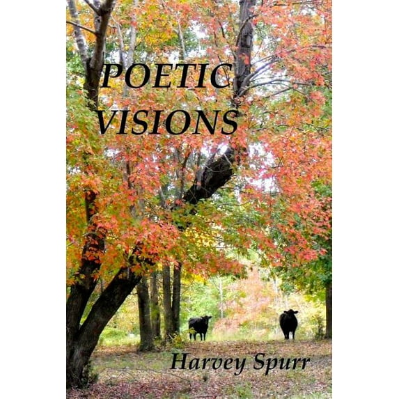 Poetic Visions (Paperback)