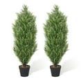 thumbnail image 1 of Poetree 2 Pack 3FT Topiary Artificial Faux Cedar Tree Plant Potted Indoor or Outdoor UV Protection Plastic Tree, 1 of 9