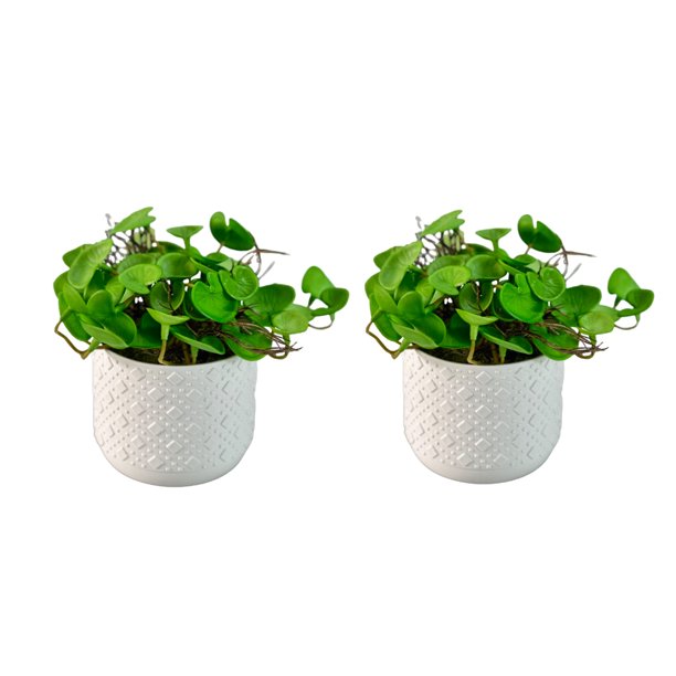 Poetree 2Pcs Faux Plants Potted, Small Artificial Plants in Pot Fake