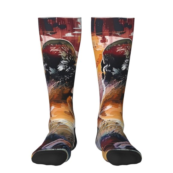 Pofeuu Abstract Lion Painting Print Stockings, Adult Running Hiking Socks for Youth and Adult