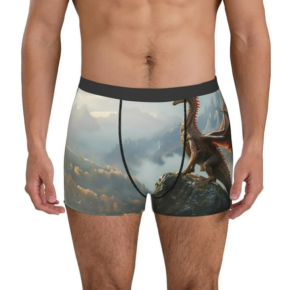 Pofeuu Autumn Dragon Mountain View Print Men’s Boxer Briefs, Moisture-Wicking Underwear, Regular,Trunk-Small