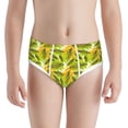 thumbnail image 1 of Pofeuu Autumn Harvest Cartoon Corn Print Boy's Briefs Toddler Boys' Underwear, Organic Cotton, Comfort Briefs-Small, 1 of 7