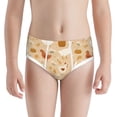 thumbnail image 1 of Pofeuu Autumn and Thanksgiving Print Boy's Briefs Toddler Boys' Underwear, Organic Cotton, Comfort Briefs-X-Small, 1 of 7