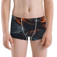 thumbnail image 1 of Pofeuu Blue and Red Roses Artwork Print Boys' Boxer Brief Boys Underwear Kids Underwear Boys Cotton-X-Small, 1 of 7