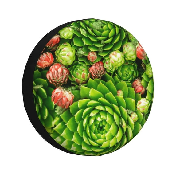 Pofeuu Cactus And Succulents Print Spare Tire Wheel Cover for Car Truck SUV Camper Universal Fit Spare Tire Cover RV Spare Tire Covers-17 inch