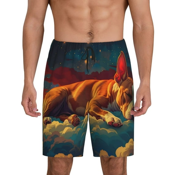 Pofeuu Colorful Starry Sky Sleep Dog Print Men's Soft Woven Elastic Waistband Sleep Pajama Short-4X-Large