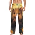 thumbnail image 1 of Pofeuu Cute Sunflower Guinea Pig Print Men's Pajama Pants, Soft Lounge Pajama Pants with big pockets for Men Plaid Pj Bottoms-Small, 1 of 6