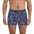 thumbnail image 1 of Pofeuu Daisies Flowers Print Men’s Boxer Briefs, Moisture-Wicking Underwear, Regular,Trunk-Large, 1 of 5