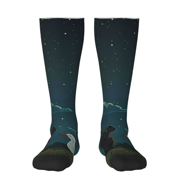 Pofeuu Farm Dog Duck Moonlight Print Stockings, Adult Running Hiking Socks for Youth and Adult