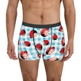 thumbnail image 1 of Pofeuu Flowers and Lady Bugs Print Men’s Boxer Briefs, Moisture-Wicking Underwear, Regular,Trunk-X-Large, 1 of 5