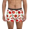 thumbnail image 1 of Pofeuu Fresh Red Tomato Print Men’s Boxer Briefs, Moisture-Wicking Underwear, Regular,Trunk-Small, 1 of 5