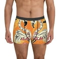 thumbnail image 1 of Pofeuu Halloween Flamingos Print Men’s Boxer Briefs, Moisture-Wicking Underwear, Regular,Trunk-Medium, 1 of 5