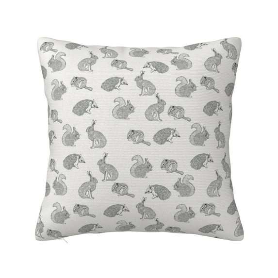Pofeuu Hand Drawn Squirrel Print Double-sided plush pillowcase Square Throw Pillow Covers Pillows Cover for Living Room Bedroom Sofa Couch Cushion Cover(No pillow core)-18"x18"