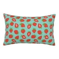 thumbnail image 1 of Pofeuu Hand Drawn Strawberry Print Polyester Microfiber Plush Pillowcases, Super Soft and Cozy Pillow Case Covers with Envelop Closure（Pillow core not included）-20"x30", 1 of 6