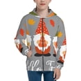 thumbnail image 1 of Pofeuu Hello Fall Gnomes Print Teenage Zipper Hoodie Sweatshirts Hooded Casual Jackets With Pocket For Boys Girls-Medium, 1 of 6