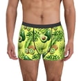 thumbnail image 1 of Pofeuu Kiwi and Avocado Print Men’s Boxer Briefs, Moisture-Wicking Underwear, Regular,Trunk-Large, 1 of 5