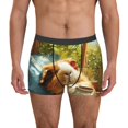 thumbnail image 1 of Pofeuu Lazy Home Style Guinea Pig Print Men’s Boxer Briefs, Moisture-Wicking Underwear, Regular,Trunk-Small, 1 of 5