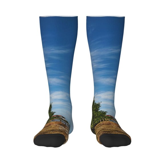 Pofeuu Lighthous Print Stockings, Adult Running Hiking Socks for Youth and Adult