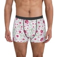 thumbnail image 1 of Pofeuu Lilies Flowers Print Men’s Boxer Briefs, Moisture-Wicking Underwear, Regular,Trunk-Medium, 1 of 5