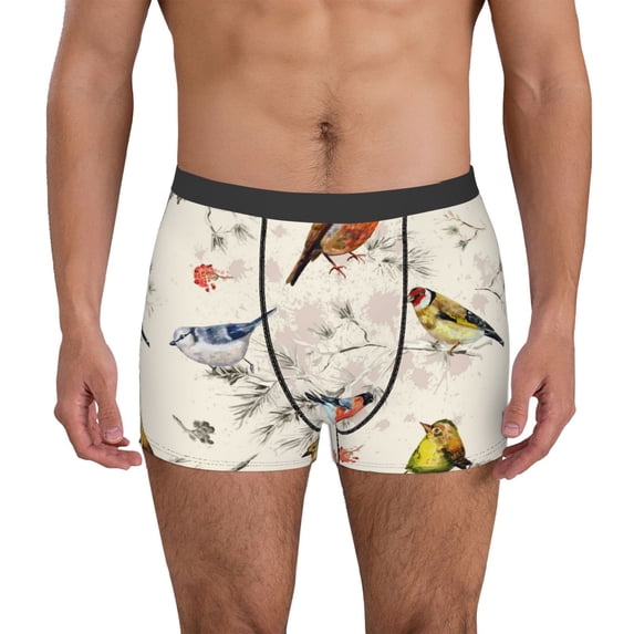 Pofeuu Little Birds Print Men’s Boxer Briefs, Moisture-Wicking Underwear, Regular,Trunk-Medium