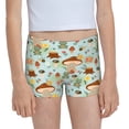 thumbnail image 1 of Pofeuu Mushroom House Insect Frog Print Soft Cotton Girls Boyshort panties Toddler Underwear-Large, 1 of 5