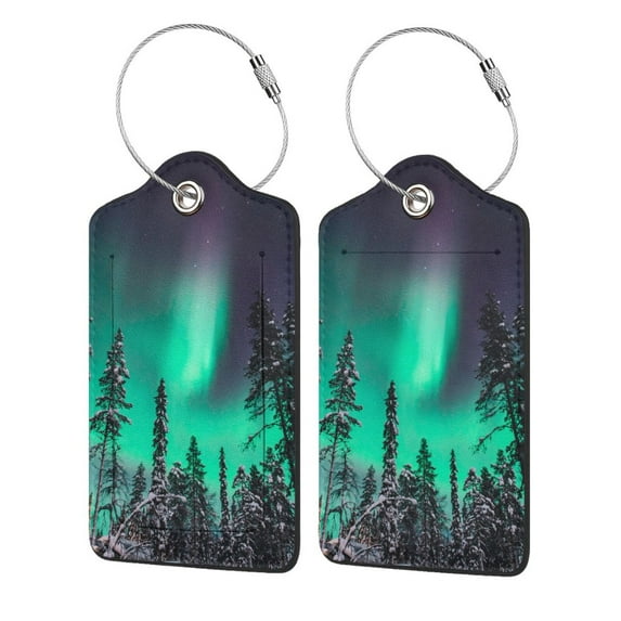 Pofeuu Northern Lights 2 Print Luggage Tags, Privacy Cover ID Label with Stainless Steel Loop and Address Card for Travel Bag Suitcase-4 PCS
