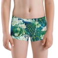 thumbnail image 1 of Pofeuu Peacock And Flowers Print Boys' Boxer Brief Boys Underwear Kids Underwear Boys Cotton-Medium, 1 of 7
