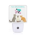 thumbnail image 1 of Pofeuu Pet Care Grooming Print Night Lights Plug into Wall with Dusk-to-Dawn Light Sensor, LED Nightlight for Bathroom, Adult, Hallway-US, 1 of 7